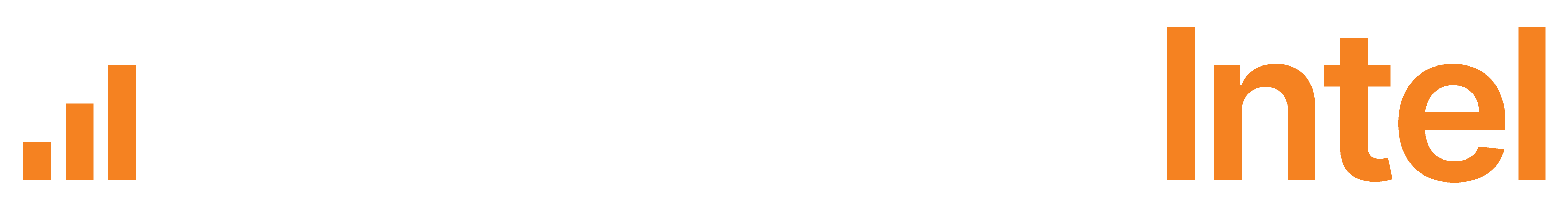 NewsletterIntel Logo