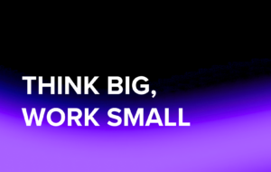 Think Big, Work Small